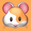 WWW,av856·COM网站APP