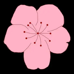 91破处视频APP图片